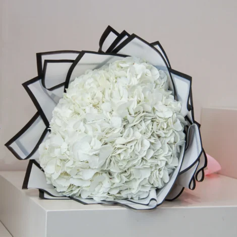 White Hydrangea - Image 3