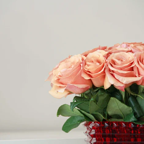 Peach Glow - Image 3