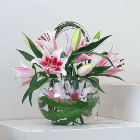 Classic Pink - Image 2