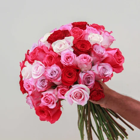 Mixed Rose - Image 2