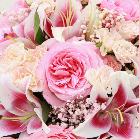 Pink Expression - Image 4