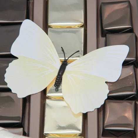 Blossom Treat Box 02 - Image 3