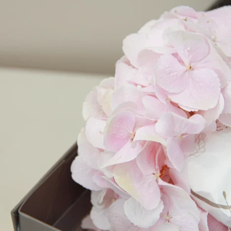 Blossom Treat Box 03 - Image 5