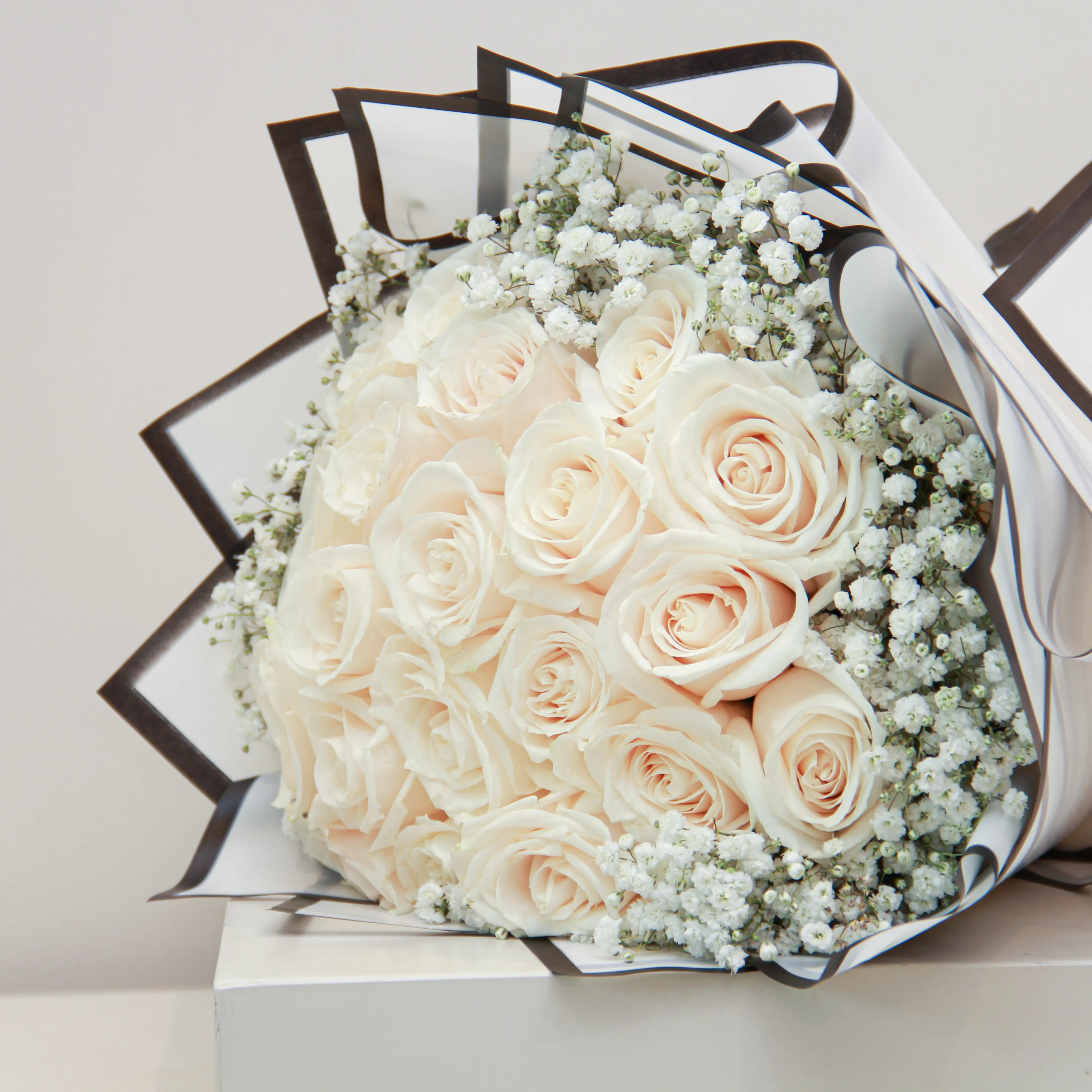 The White - Image 2