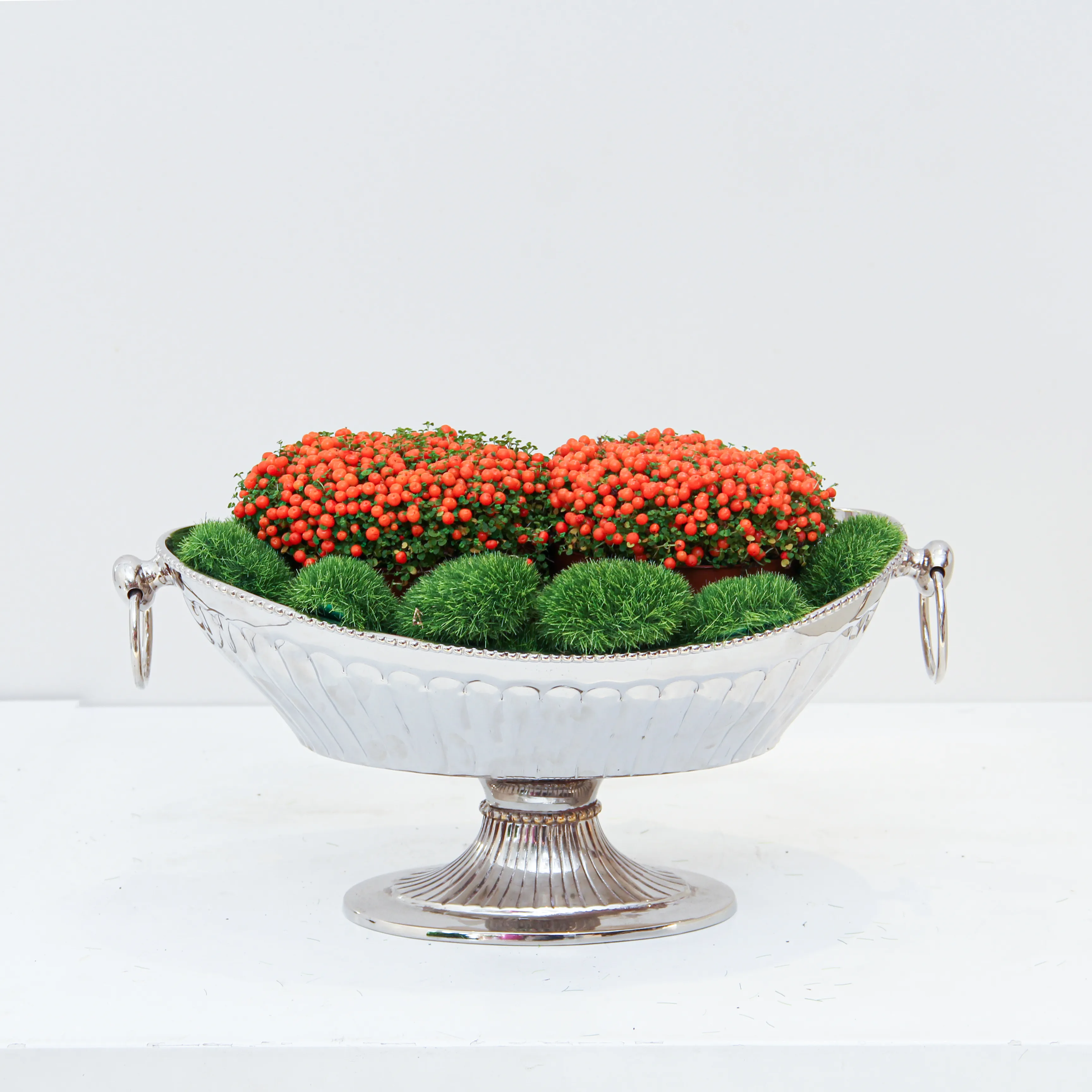 riviera-plants-indoor-online P32.1 Nertera granadensis Plant 01