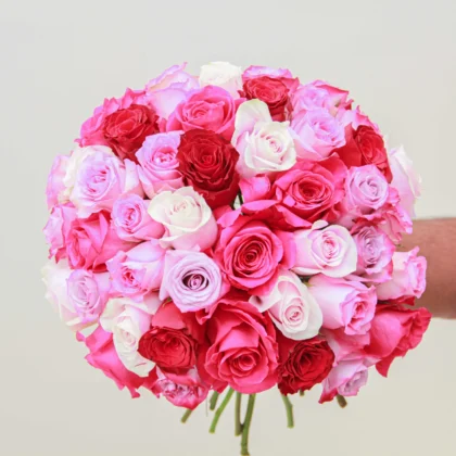 Mixed Rose