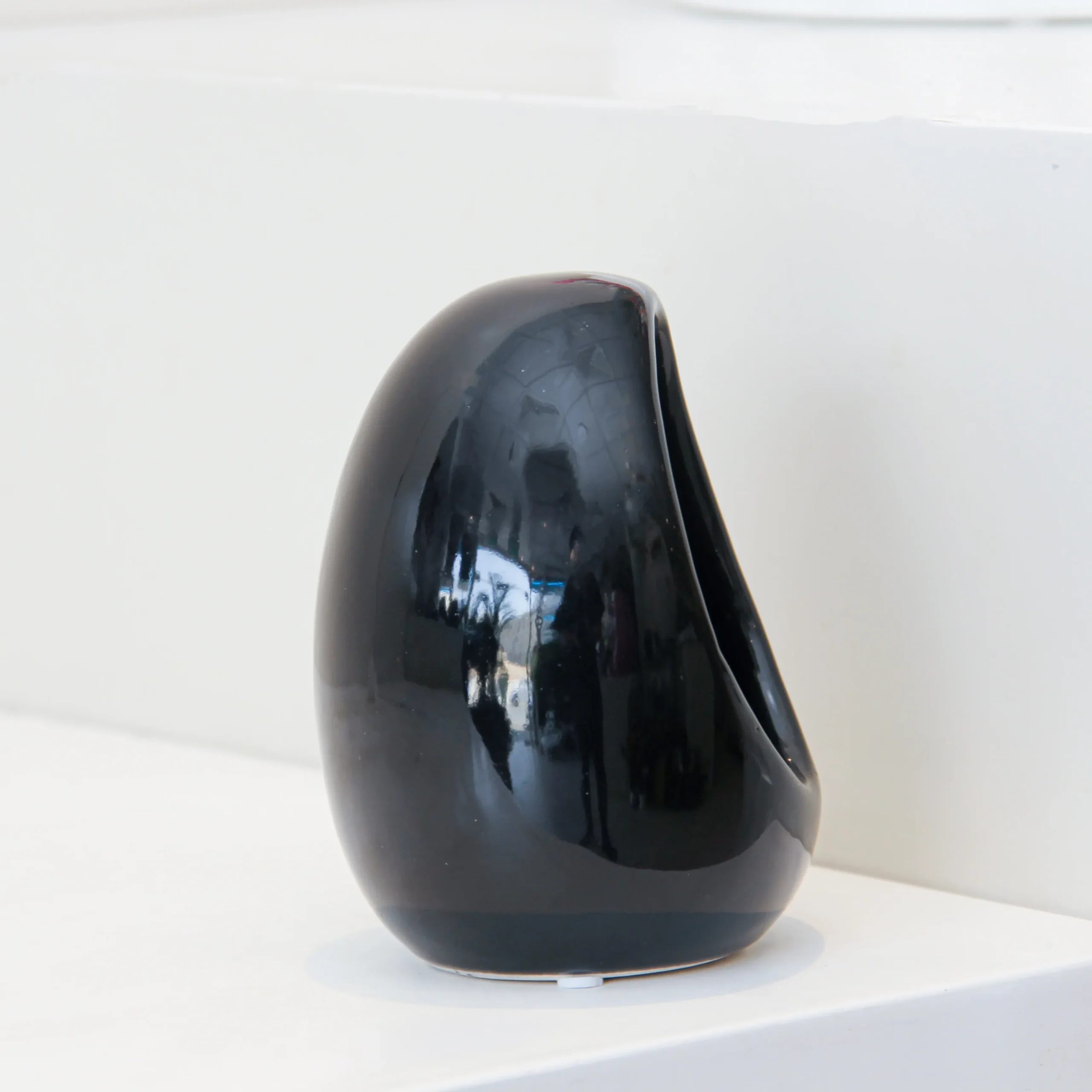 Echeveria Plant Egg Shape - Image 5