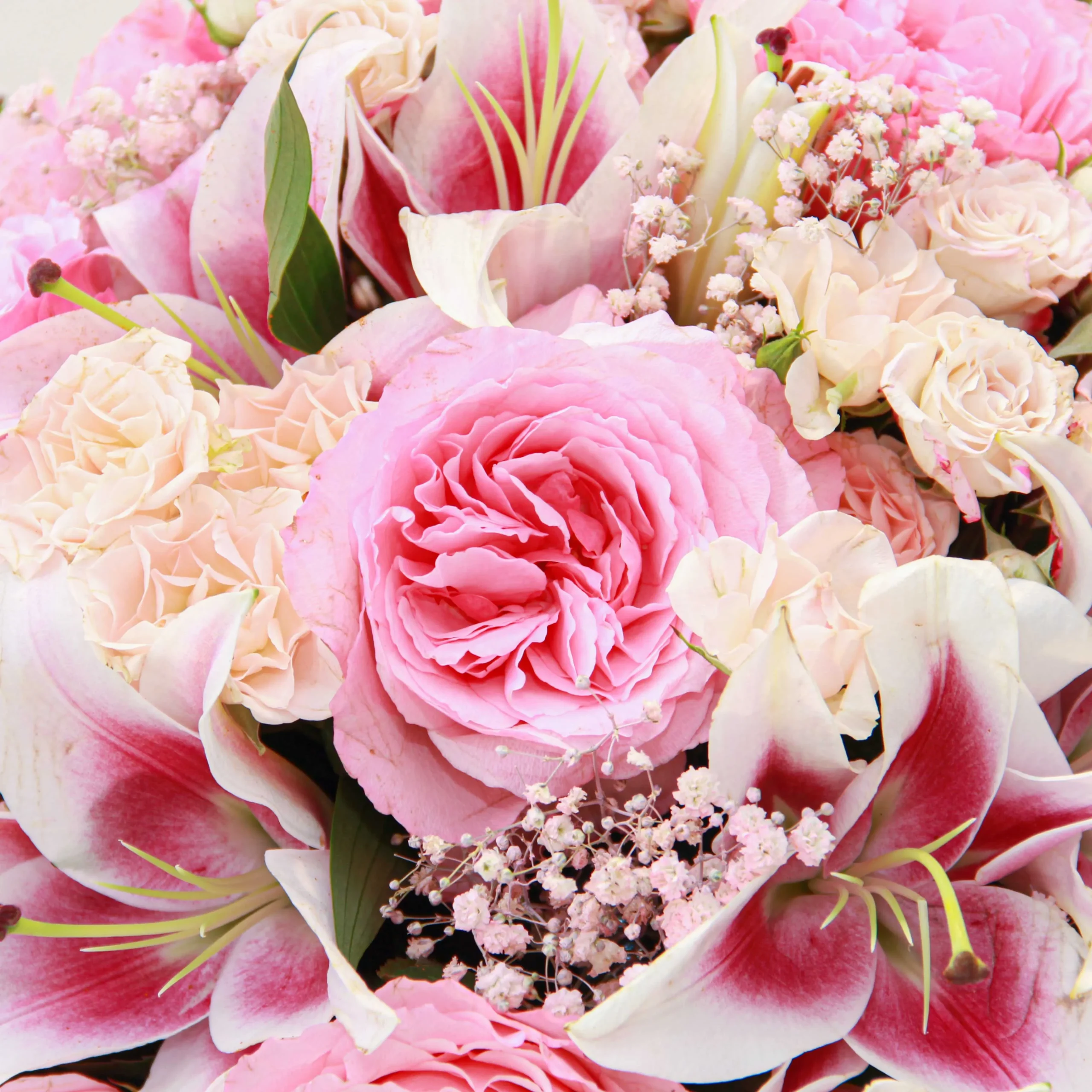 Pink Expression - Image 4