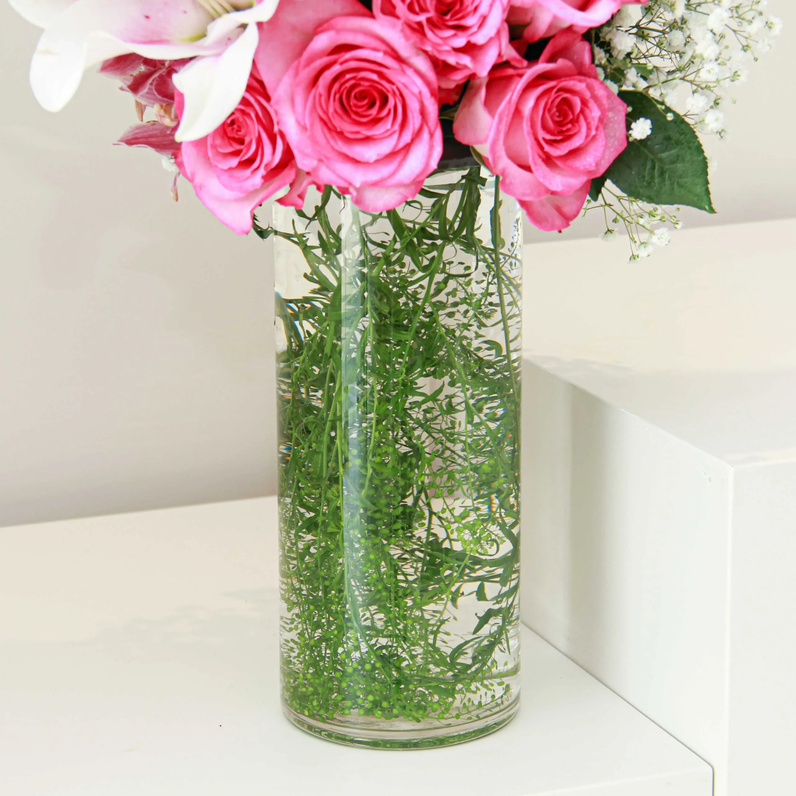 Glazer - Image 3
