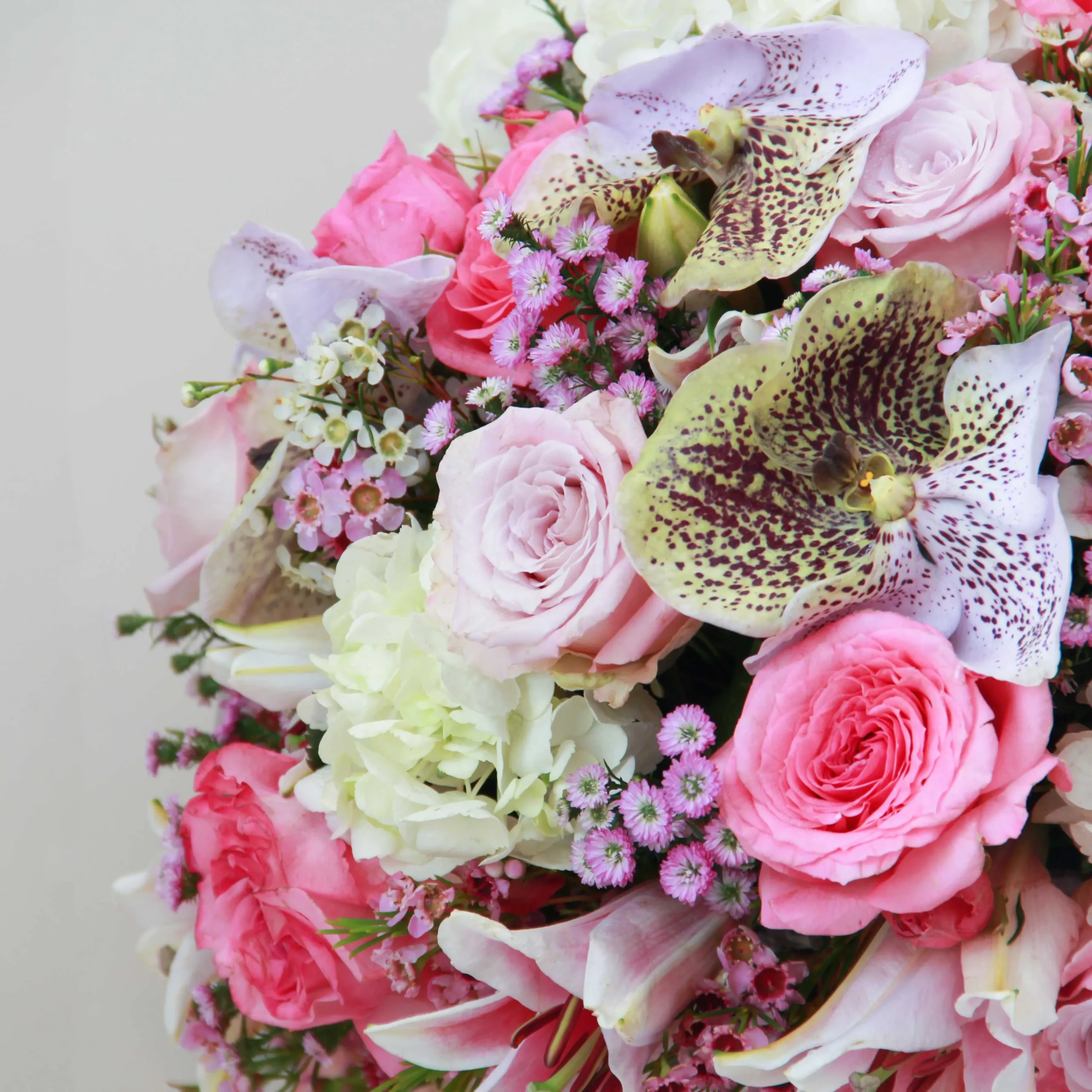Charming - Image 4