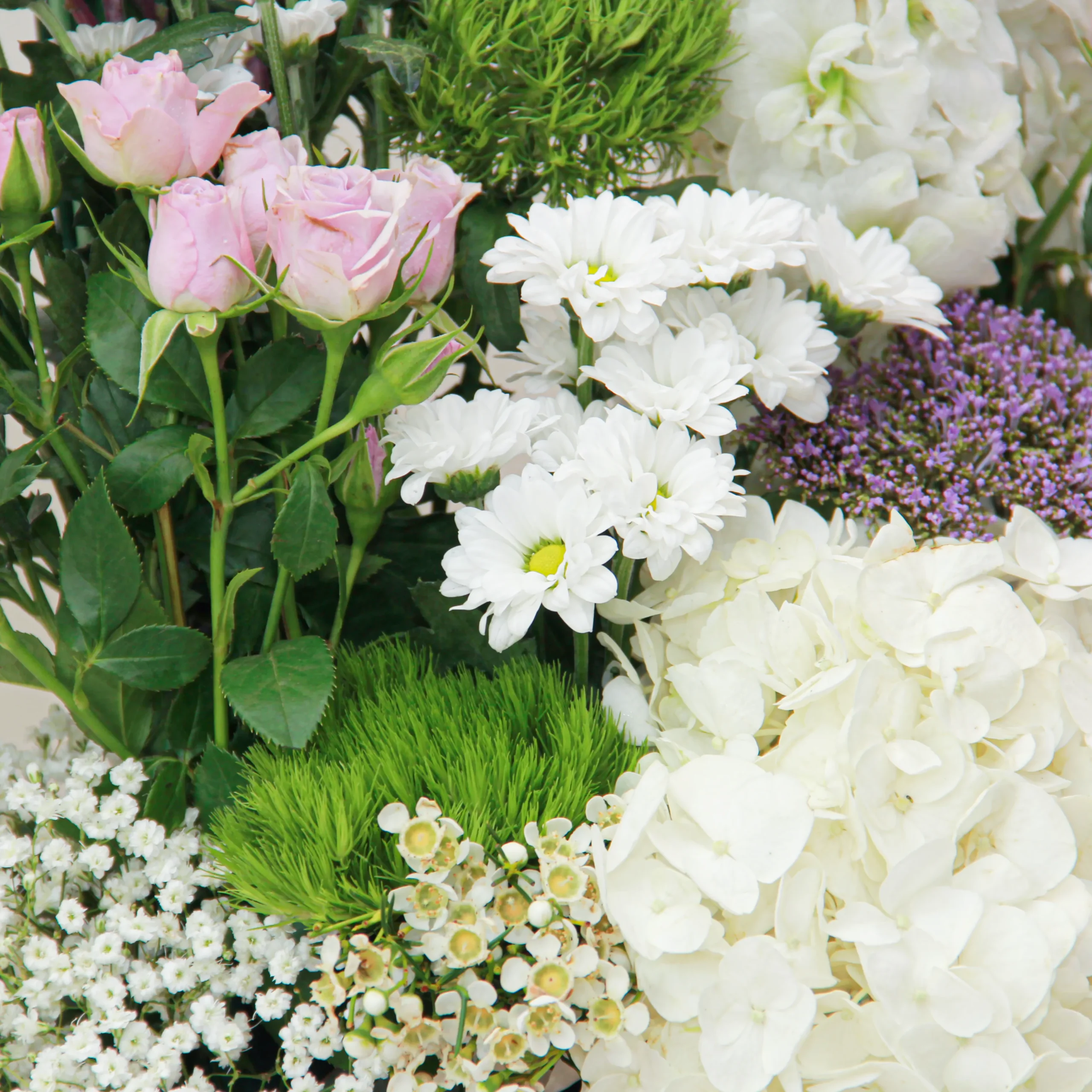 Miracle - Image 4