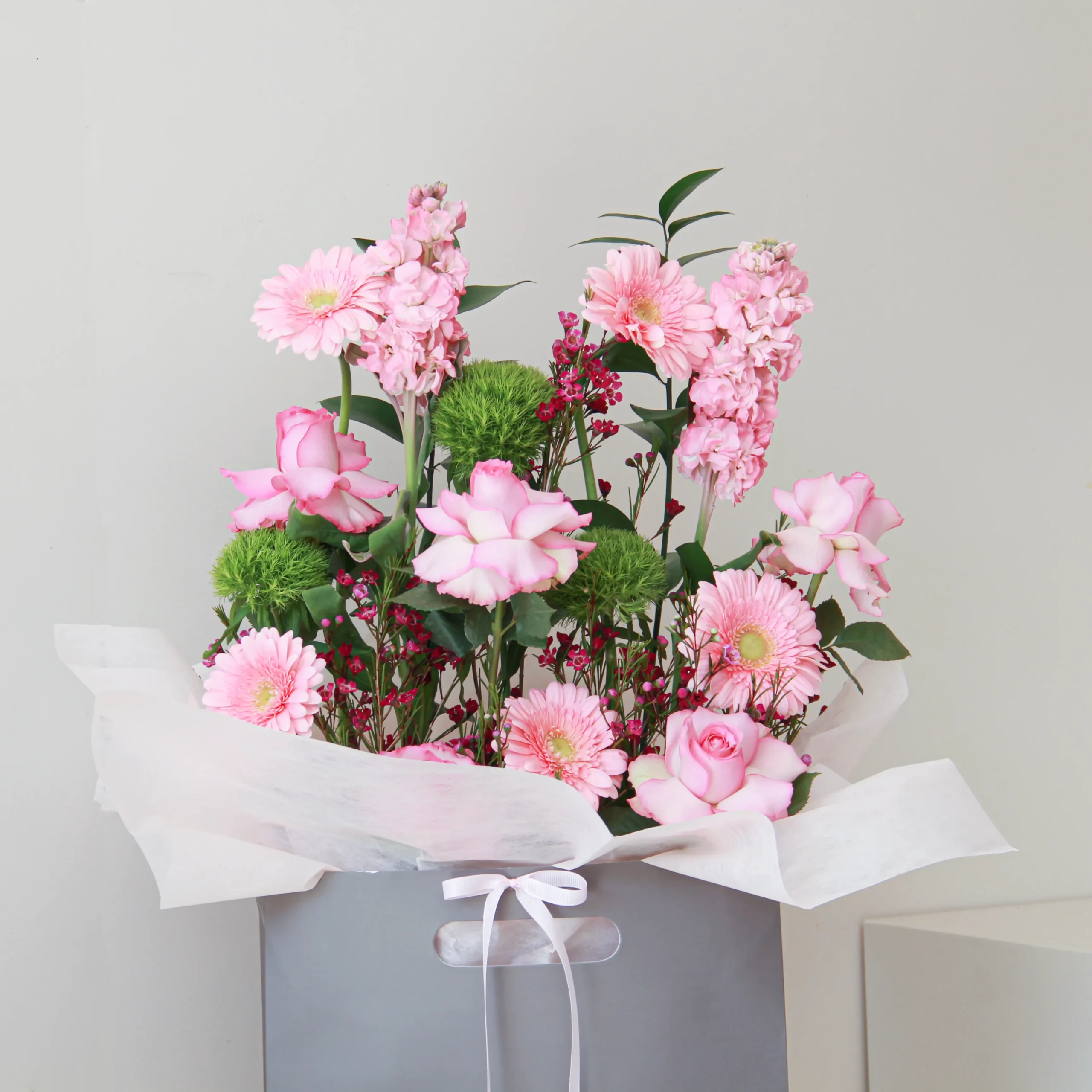 Soft - Image 2