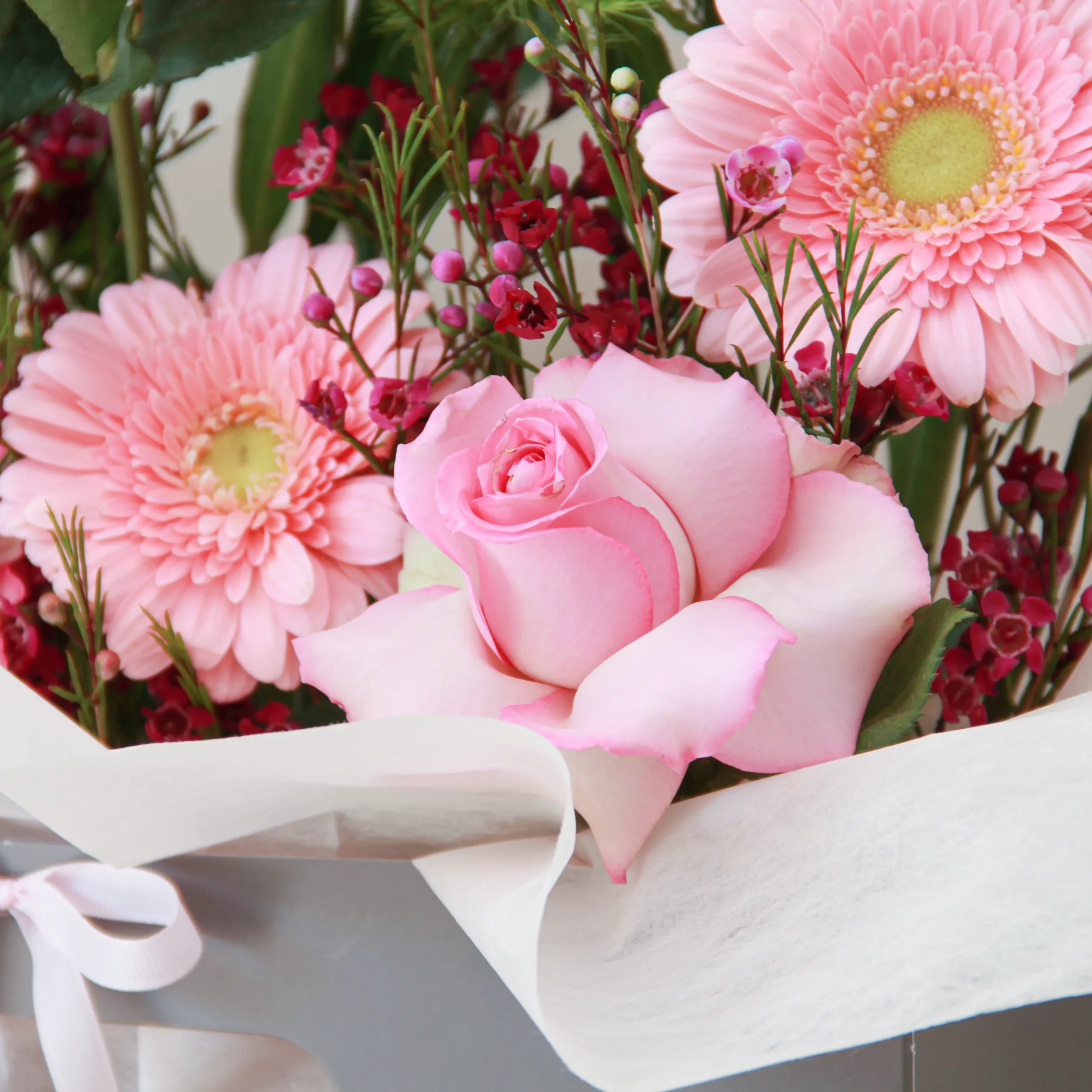 Soft - Image 3