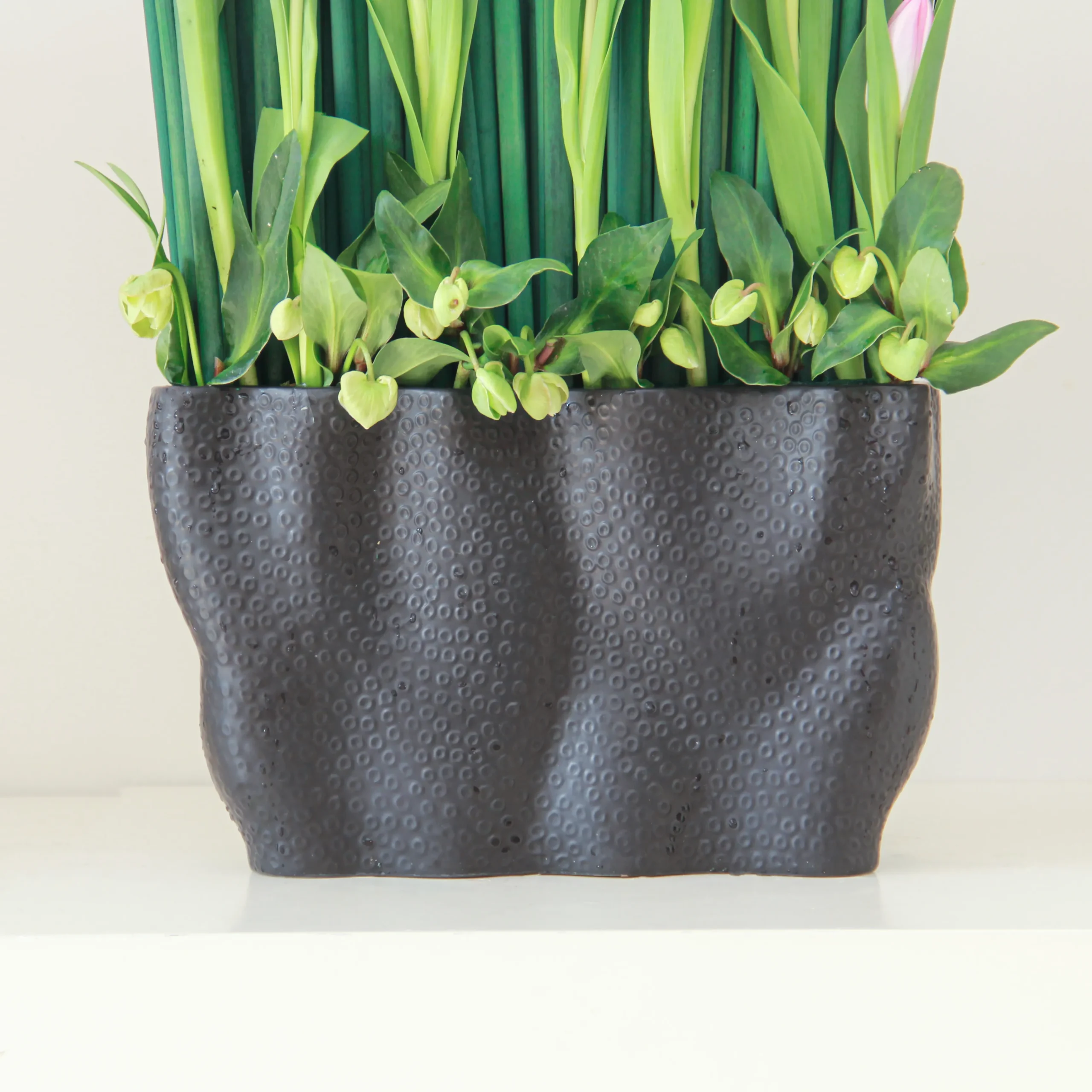 Signify - Image 3