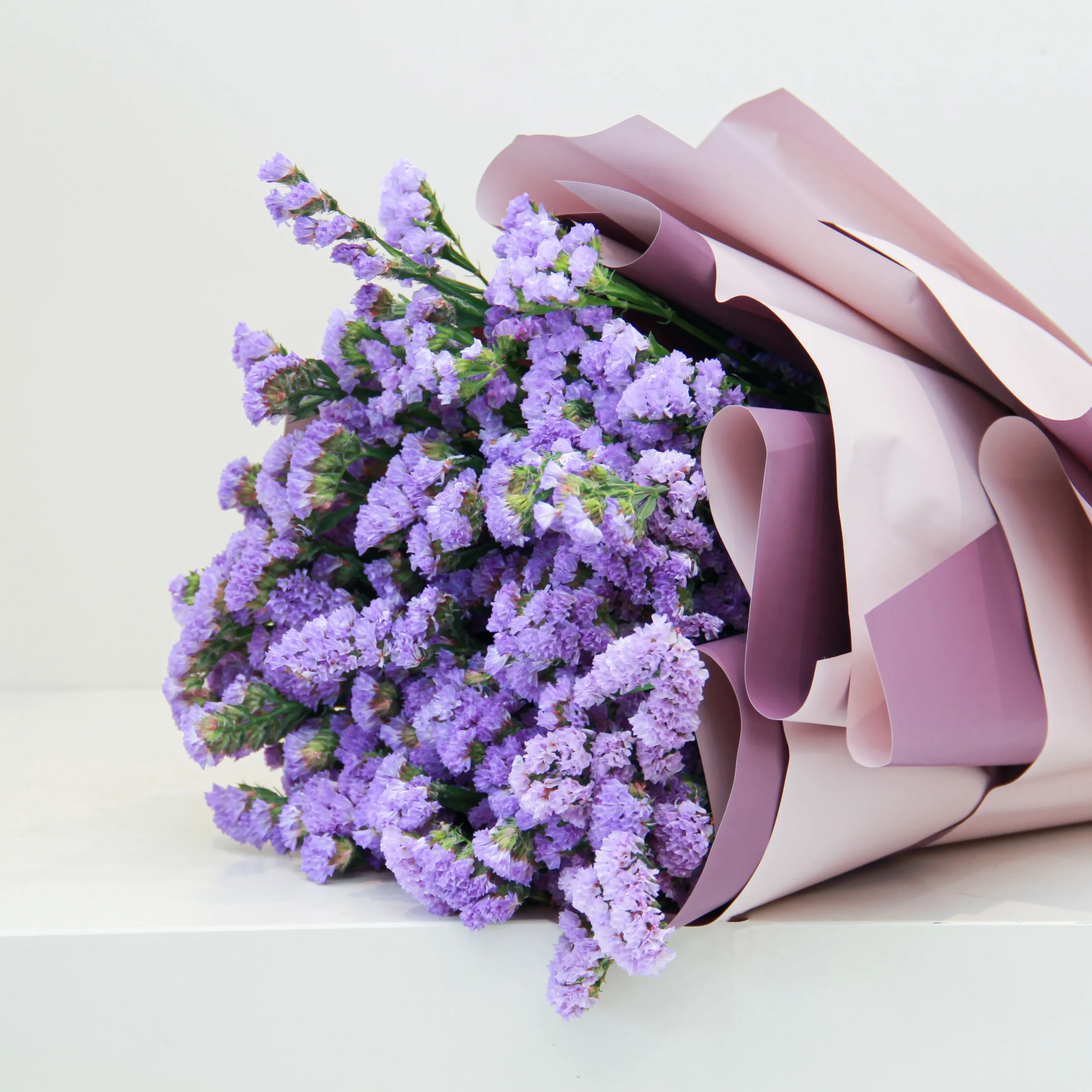 Violet - Image 3