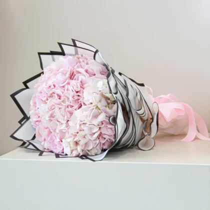 Pink Hydrangea