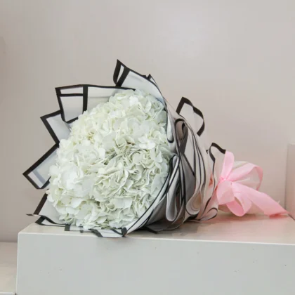 White Hydrangea