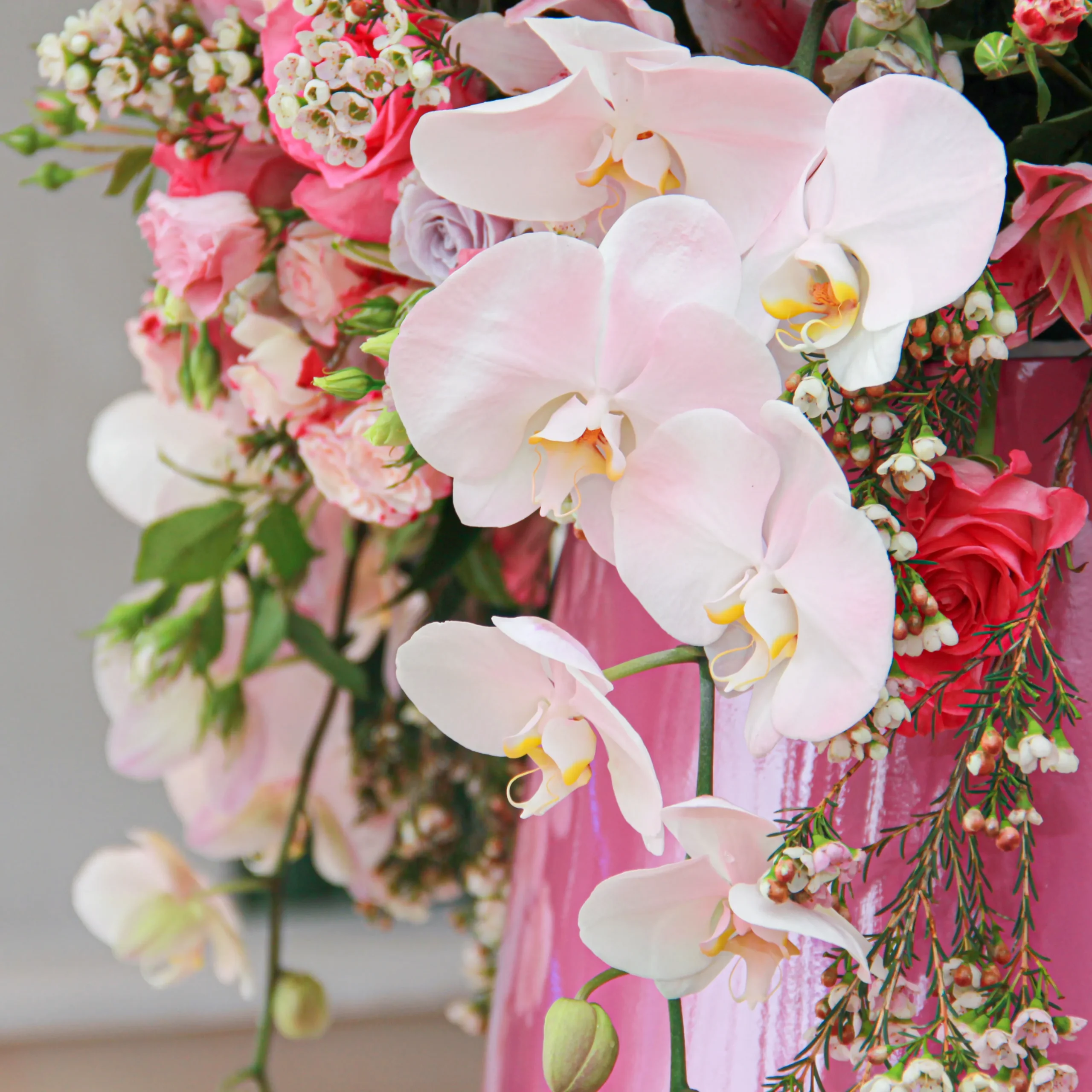 Pinky Pot - Image 4